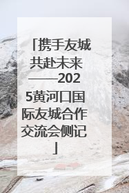携手友城 共赴未来——2025黄河口国际友城合作交流会侧记